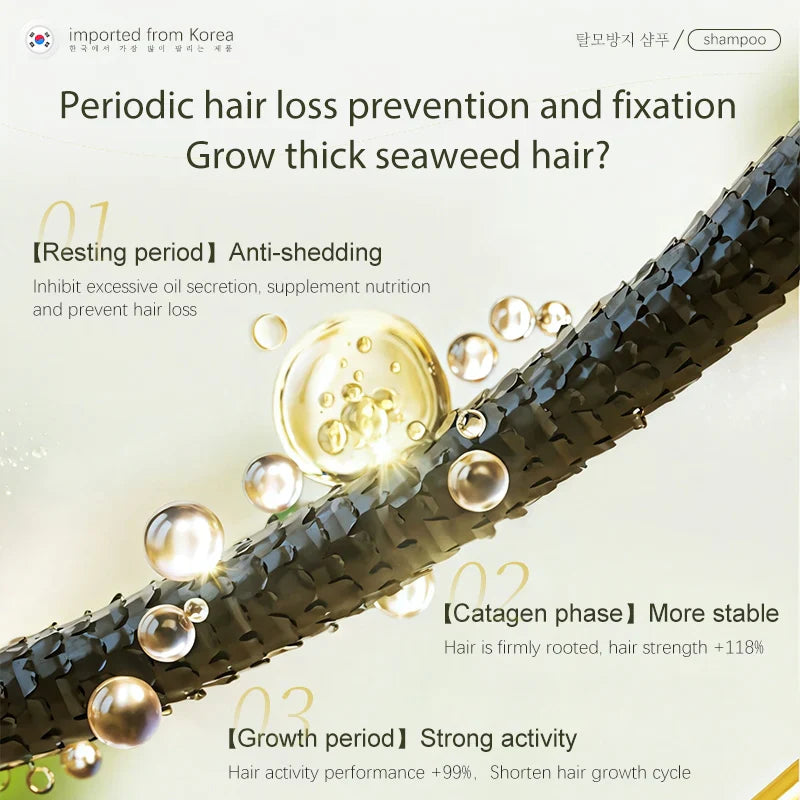 Anti-Hair Loss Shampoo