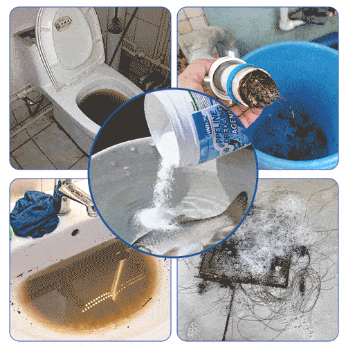 🌸 💦 DrainFresh™ - Powerful Sink and Toilet Cleaner⚡️